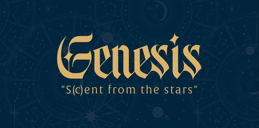 French Avenue Genesis Collection