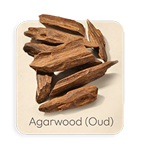Legno di Agar (Oud)