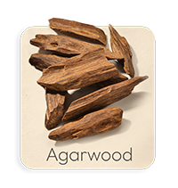 Legno di Agar