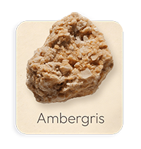 Ambra Grigia
