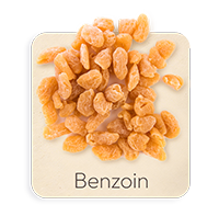 Benzoino