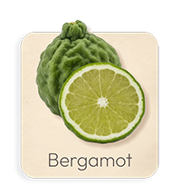 Bergamotto