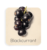 Ribes Nero