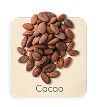 Cacao