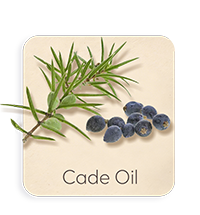 Olio di Cade