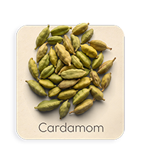 Cardamomo