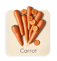 Carota