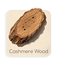 Legno di Cashmere