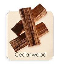Legno di Cedro