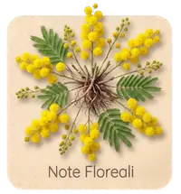 Note Floreali