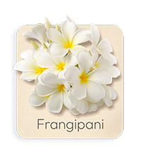 Frangipane