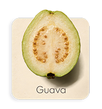Guava