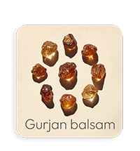 Balsamo di Gurjan