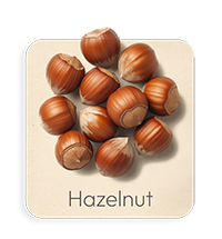 Nocciola