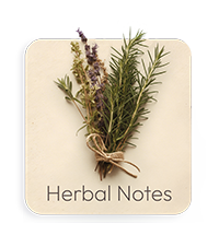 Note Erbacee