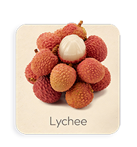 Litchi