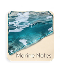 Note Marine