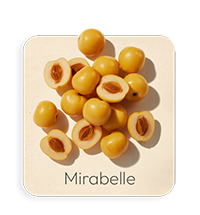 Mirabella