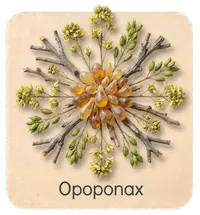 Opoponax