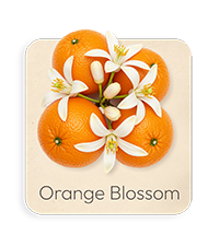 Fiore d'Arancio