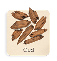 Legno di Agar (Oud)