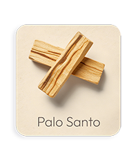 Palo Santo