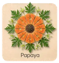 Papaya