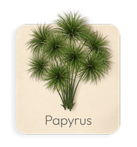 Papiro