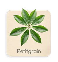 Petitgrain