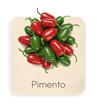 Pimento