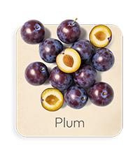Prugna