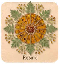 Resina