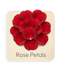 Petali di Rosa