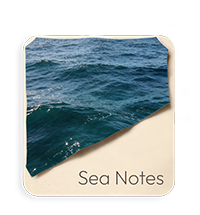 Note Marine