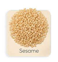 Sesamo