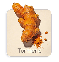 Curcuma