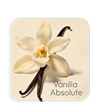 Assoluta di Vaniglia