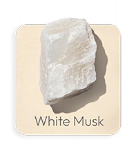 Muschio Bianco